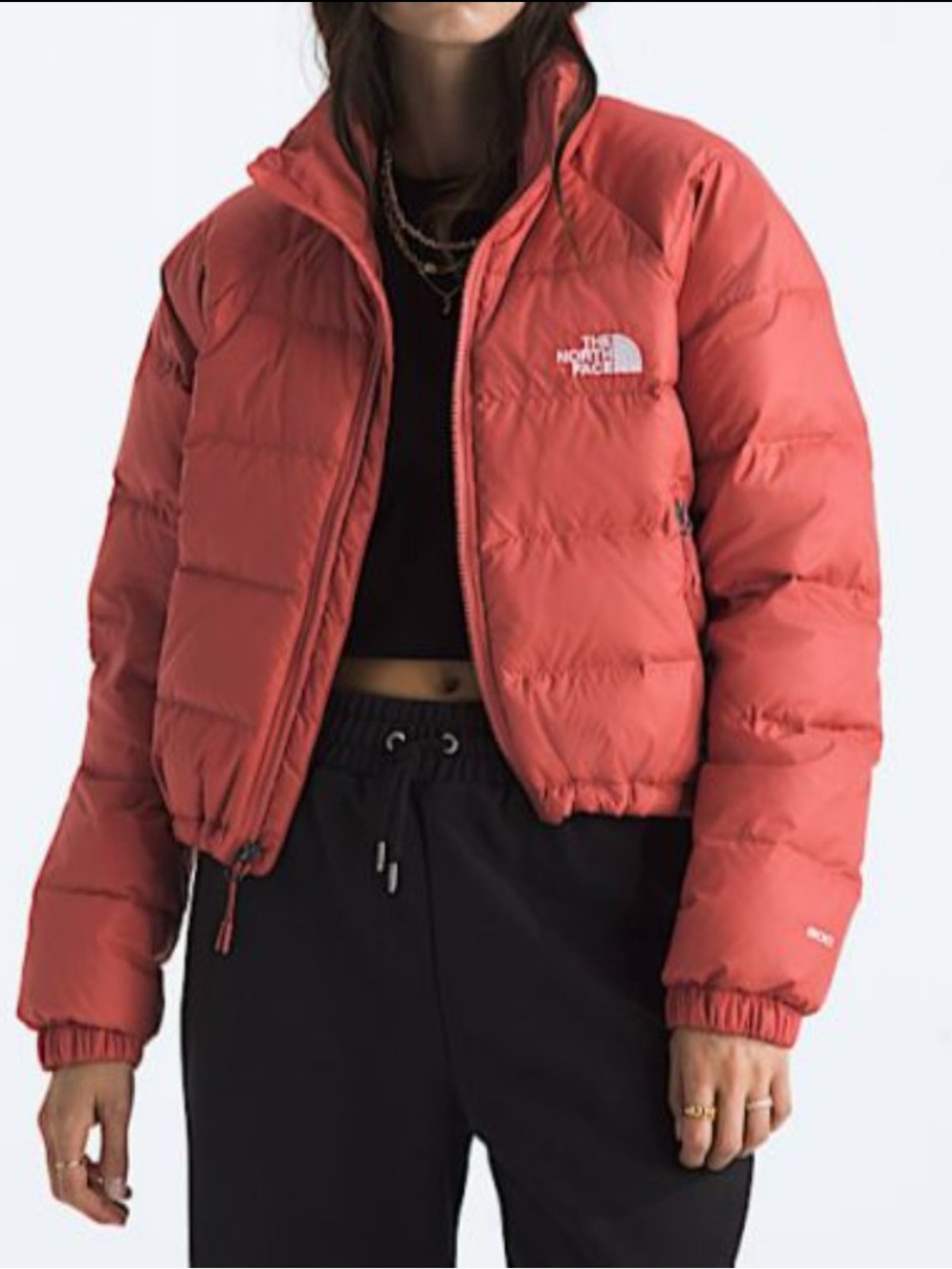 The North Face Hydrenalite wDown Puffer Jacket in wild ginger $250 - Picture 2 of 13